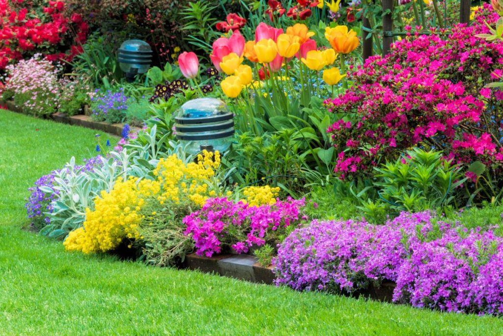 Primavera in giardino: come creare aiuole di fiori spettacolari