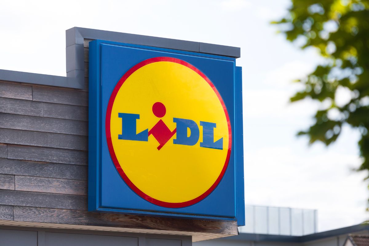 Piante in offerta da Lidl nel weekend