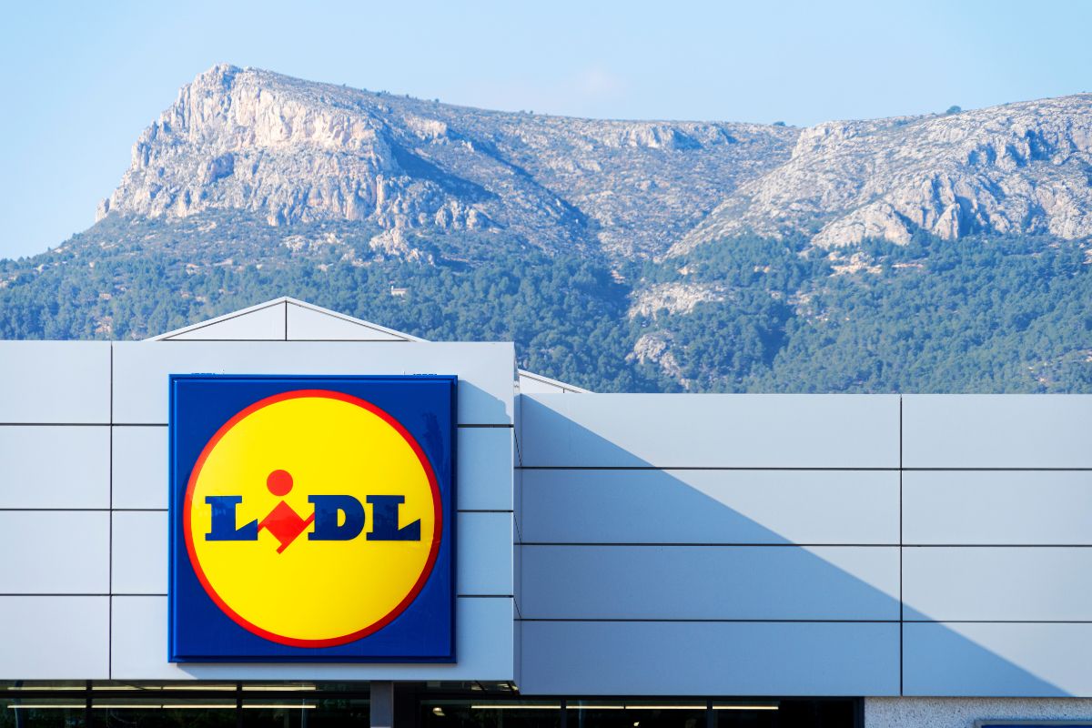 Lidl piante della settimana in offerta