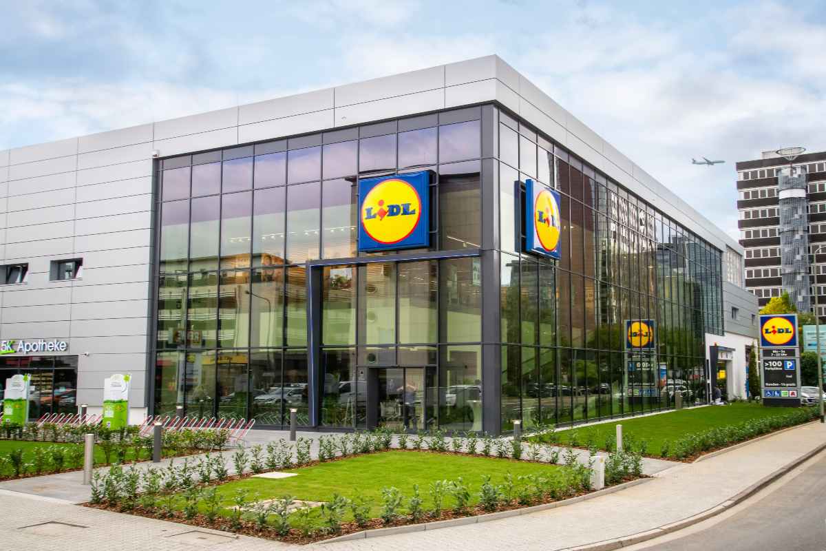 offerte settimanali di piante da Lidl