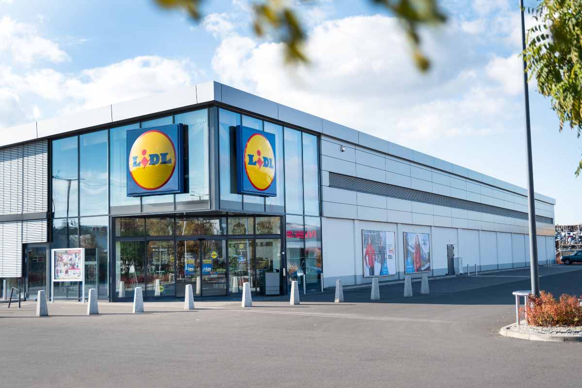 piante fine settimana Lidl