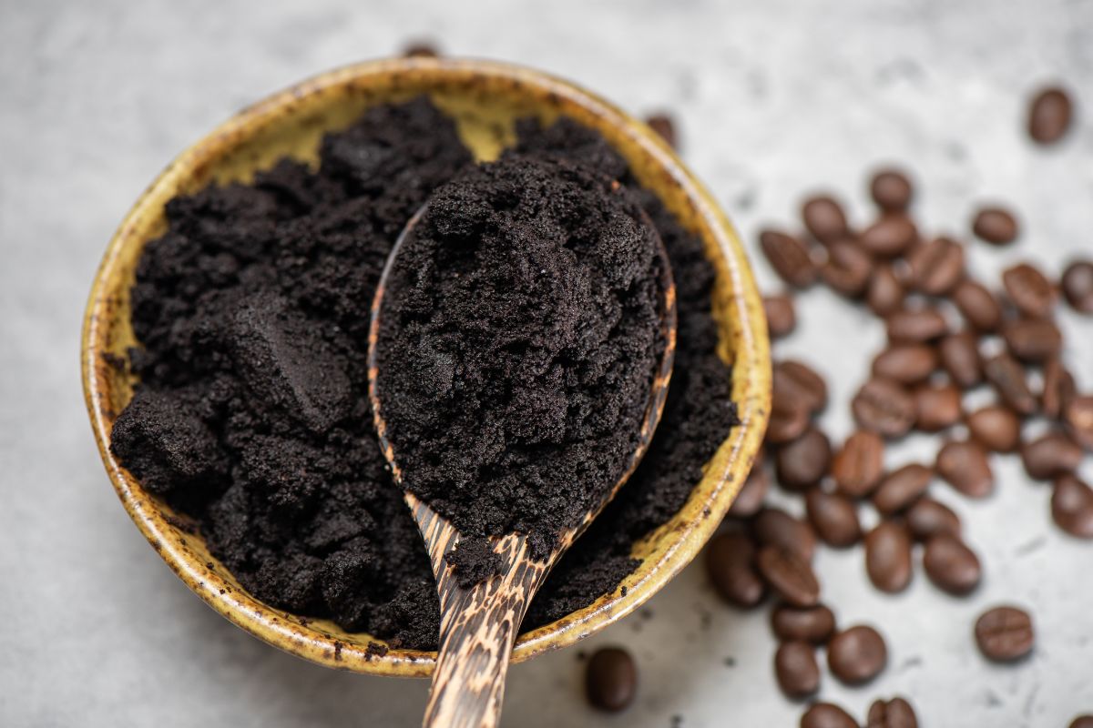 Caffè e rosmarino per un repellente