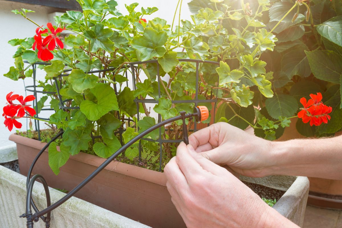 Impianto di irrigazione fai da te giardino