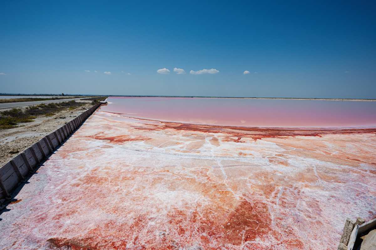 Le saline di Margherita di Savoia