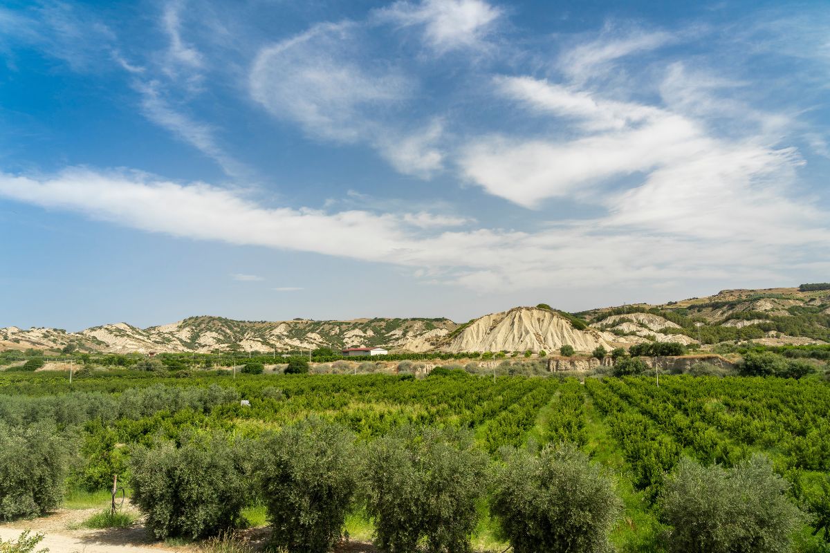 Policoro Basilicata