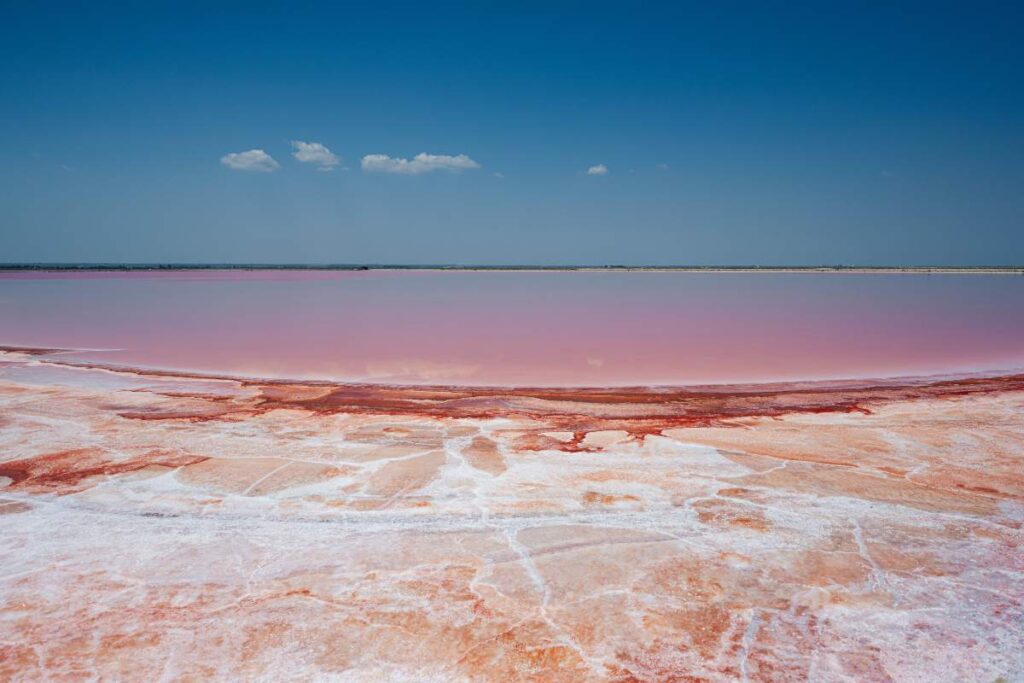 Le saline di Margherita di Savoia