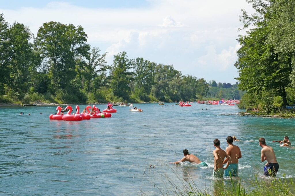 Fiume Aare nuota nel cuore di Berna