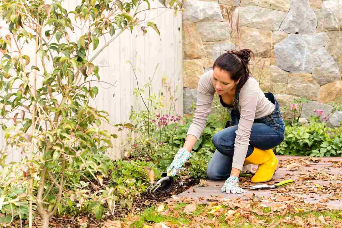 Giardino in autunno: come eliminare foglie e proteggere piante e arredi