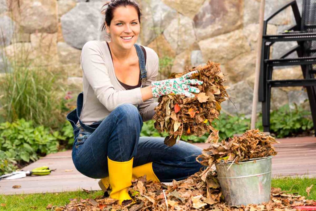 Giardino in autunno: come eliminare foglie e proteggere piante e arredi