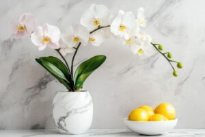 Fioritura orchidee con il limone