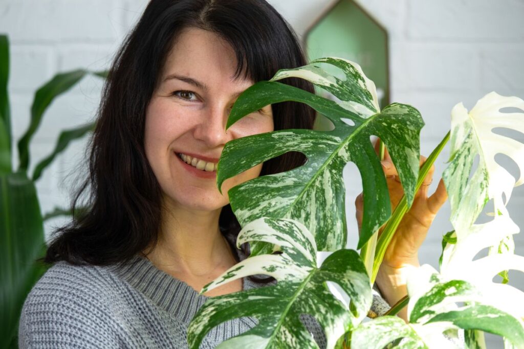 Come coltivare la Monstera Variegata