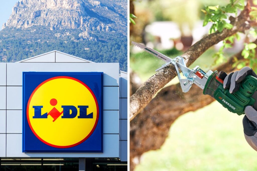 Lidl Seghetto ricaricabile Parkside per potatura