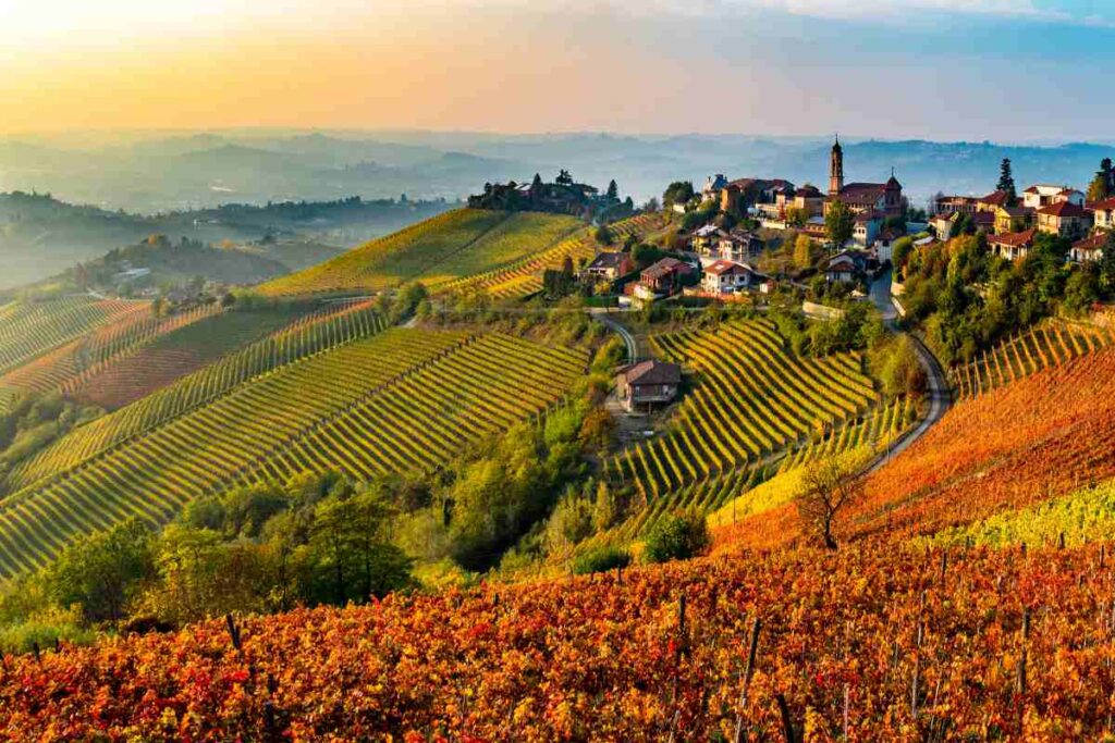 Viaggio nelle Langhe