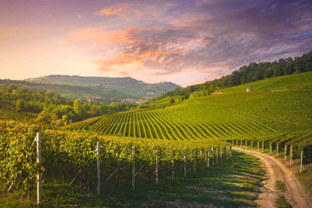 Visita La Morra: il borgo piemontese tra vino Barolo e panorami mozzafiato