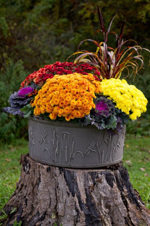 Vaso grande pieno di fiori