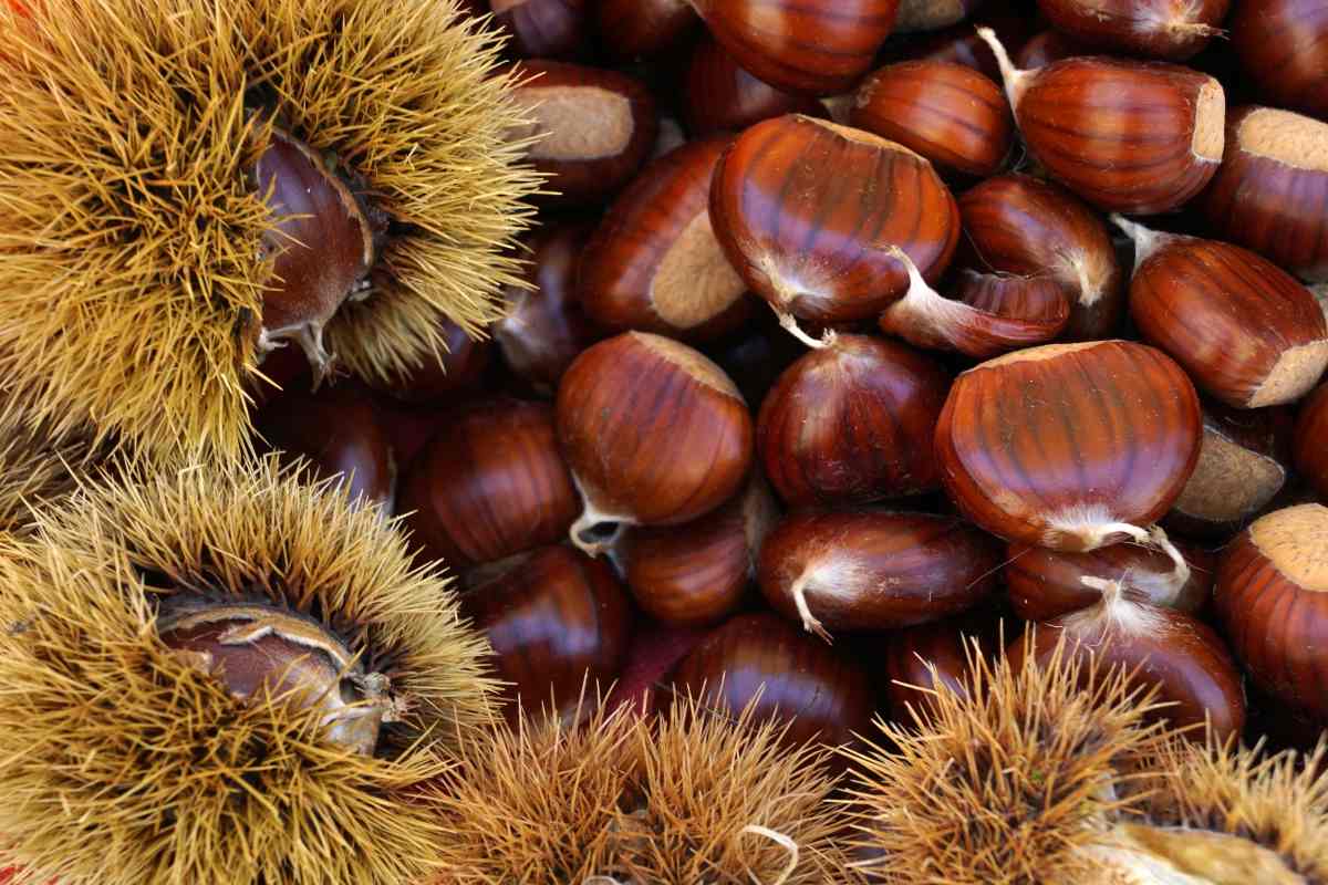 Come evitare lo scoppio delle castagne: i trucchi