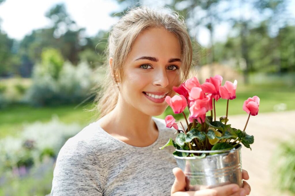 Ciclamino, significato profondo dei colori dei suoi fiori