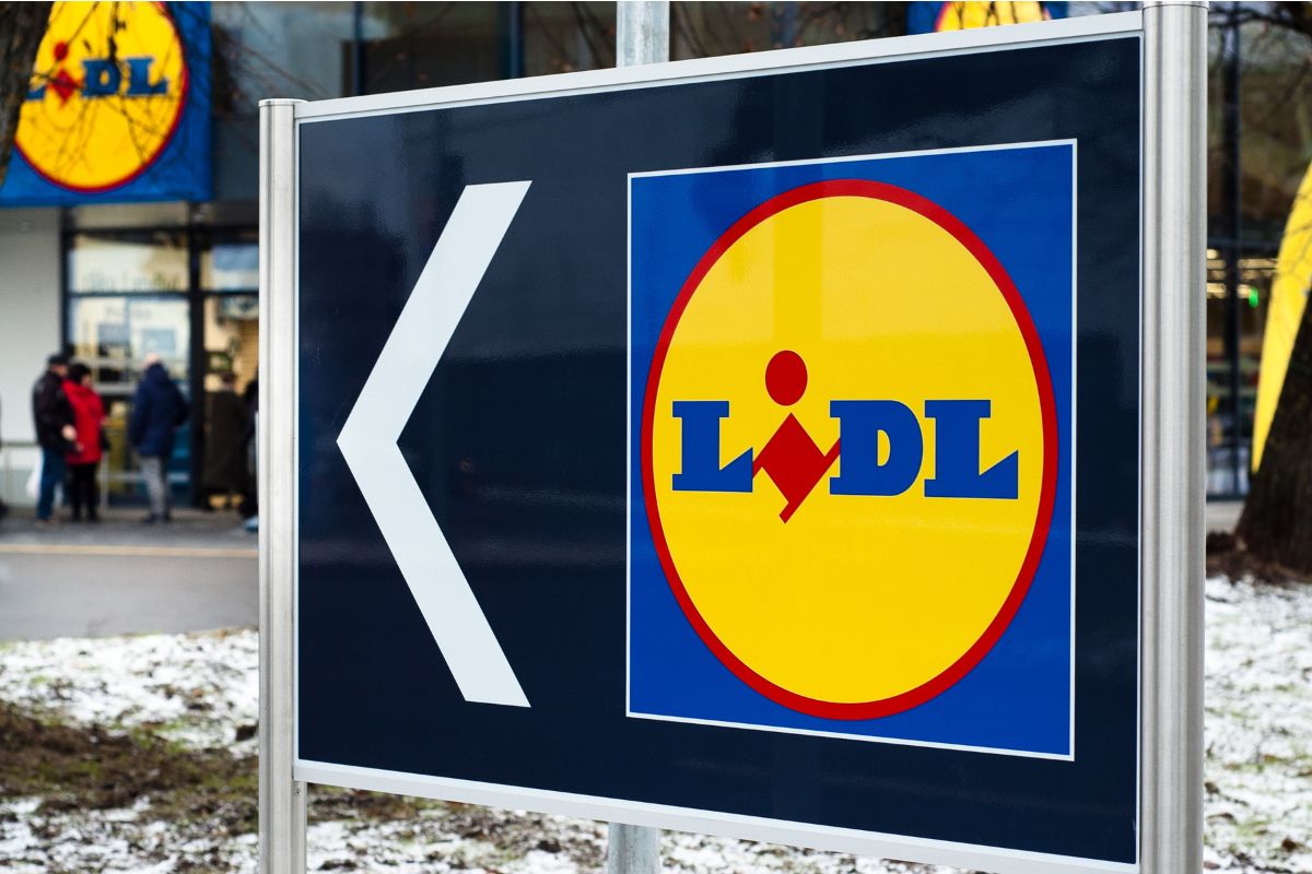 Piante da Lidl questa settimana