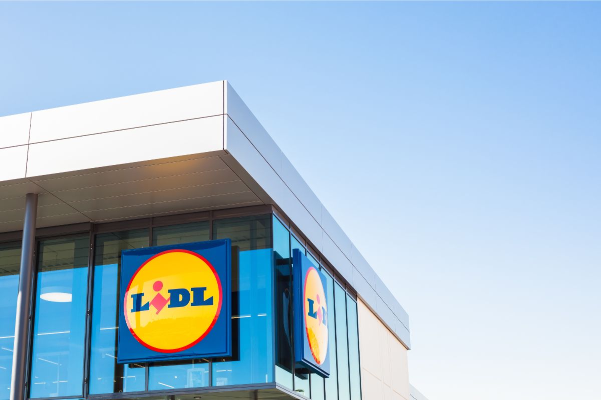 Piante da Lidl