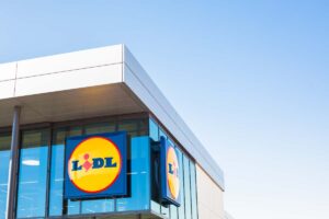 Piante autunnali: le offerte Lidl del fine settimana