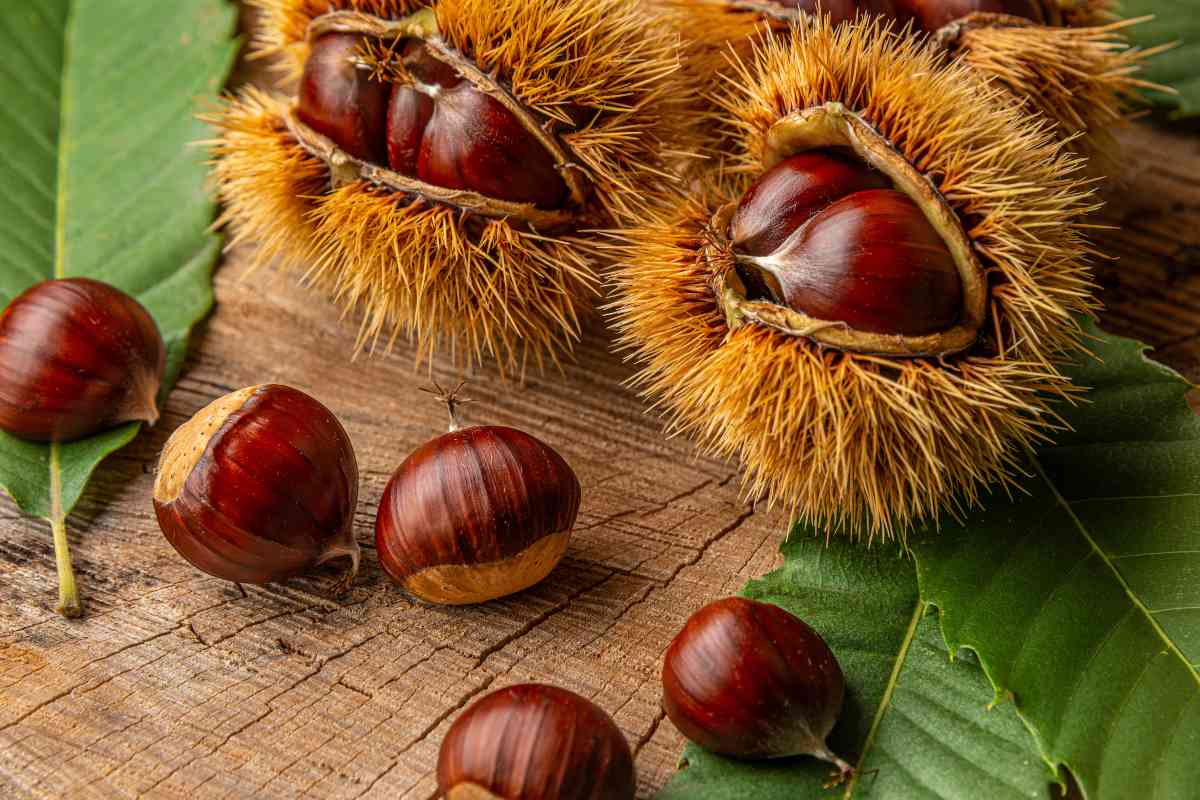 Mangiare castagne in autunno: 5 benefici sorprendenti per la tua salute