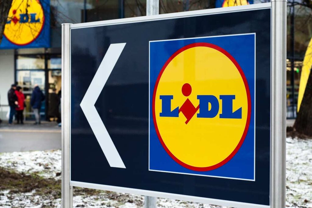 Piante Lidl: l’offerta weekend per decorare casa con eleganza e risparmio!