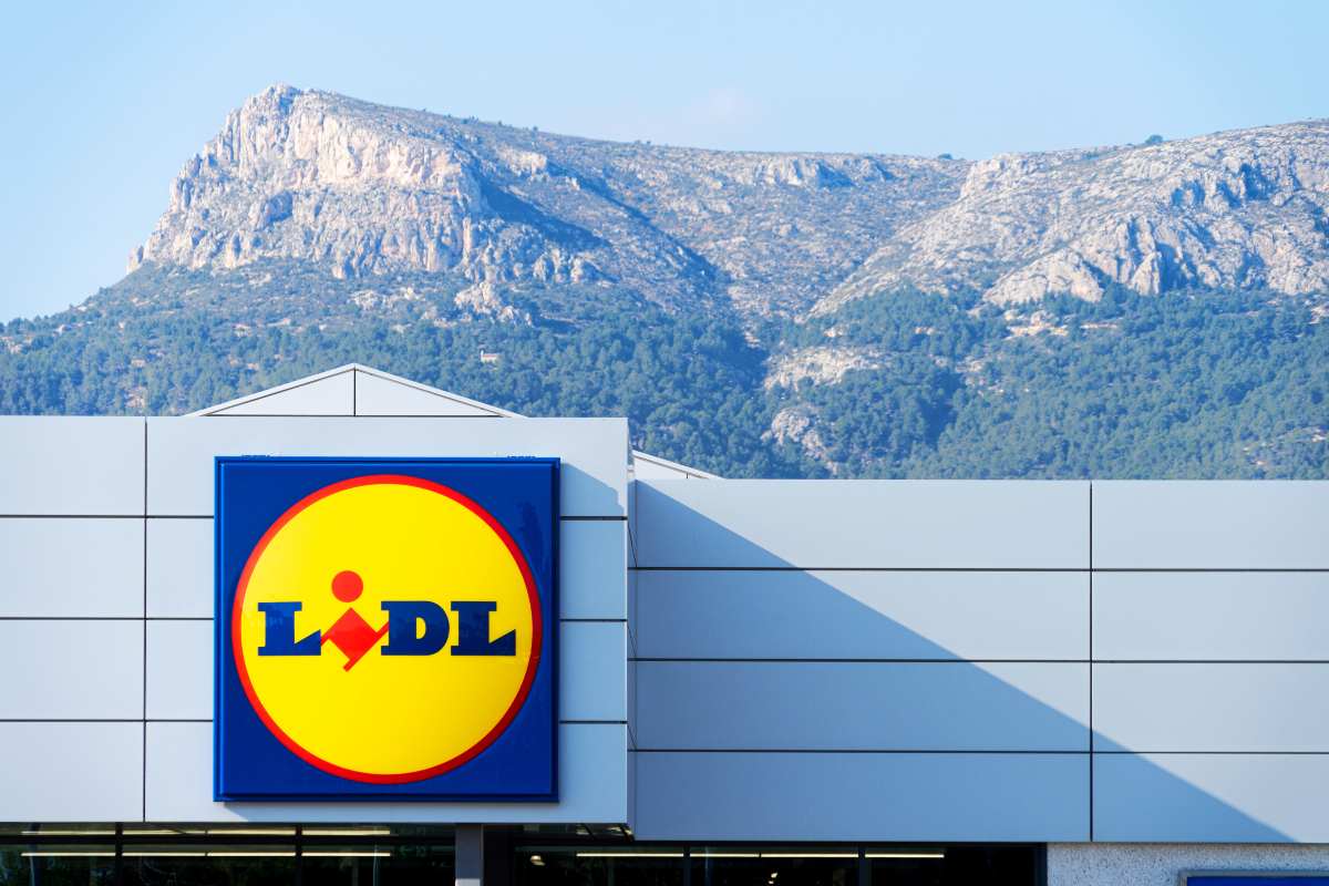 Scopri le piante Lidl in offerta questo weekend: prezzi imbattibili!