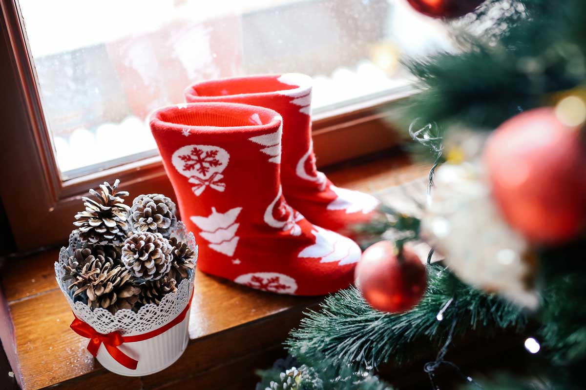 pigne innevate in un vaso vicino una finestra