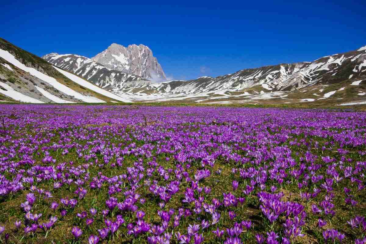 scopri la Montagna dei Fiori in Abruzzo