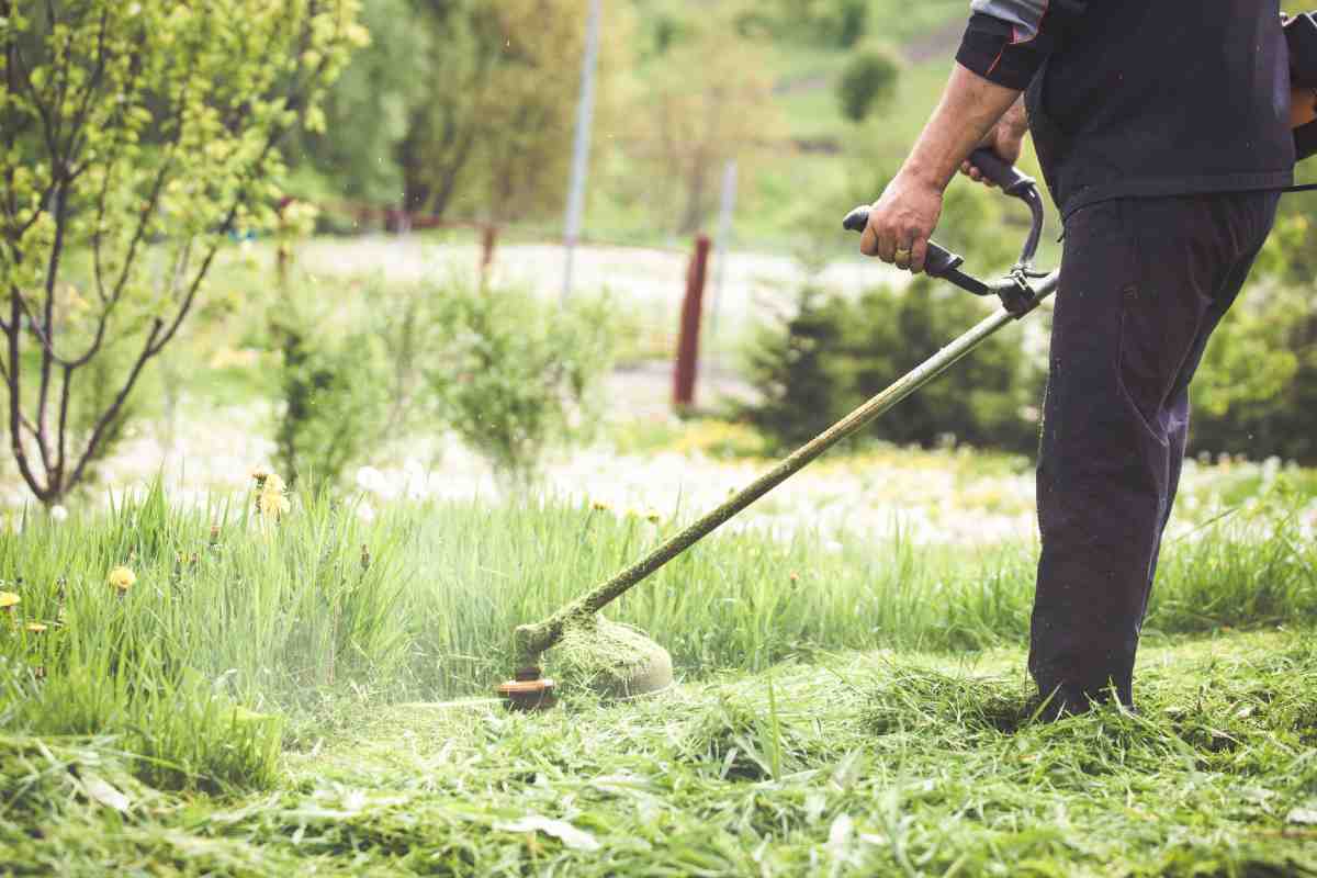 I metodi per liberare il giardino dalle erbacce in autunno