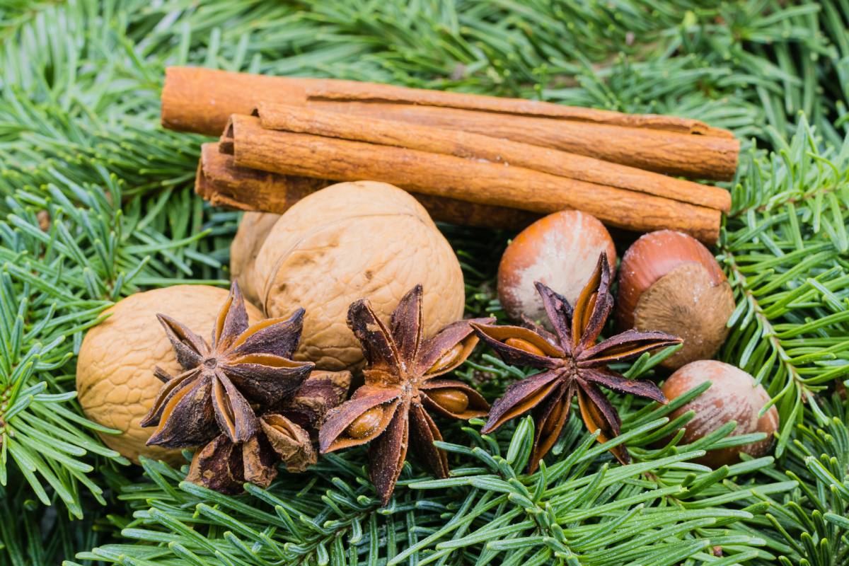 Le decorazioni naturali per l'albero