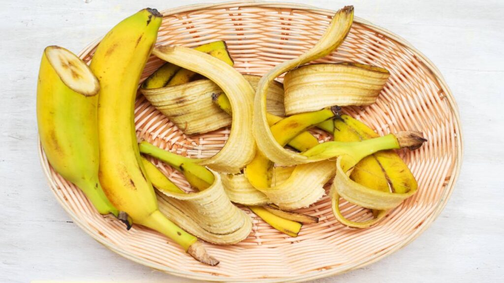 Concimare con le bucce di banana