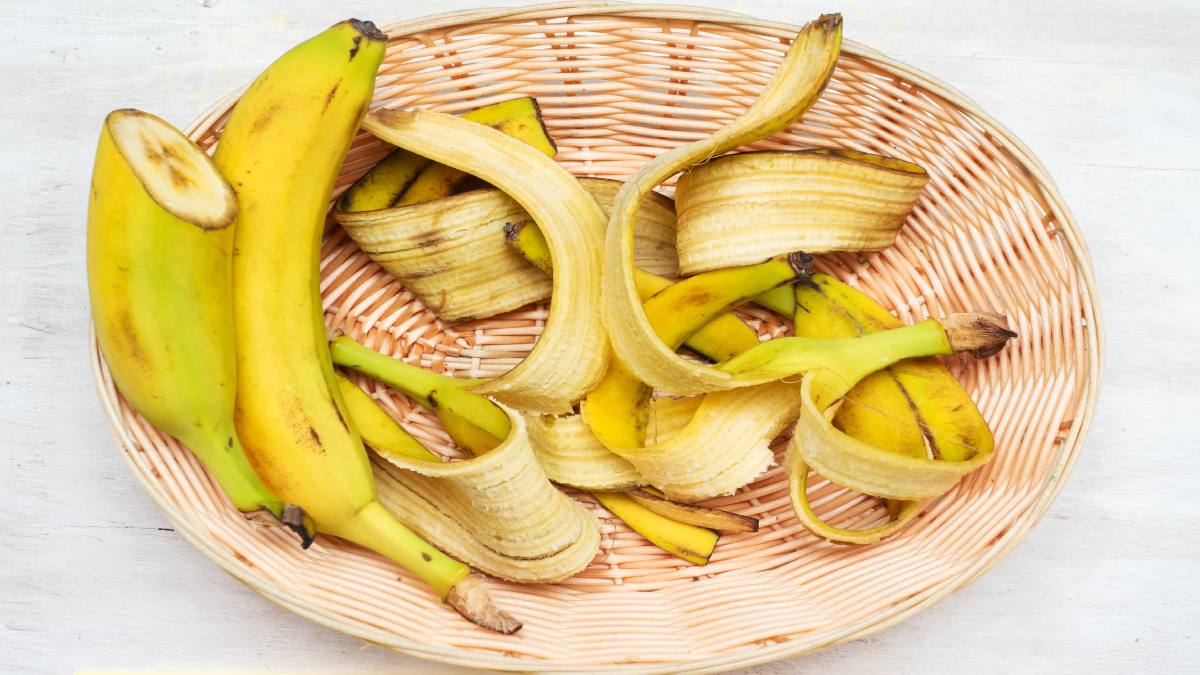 Concimare con le bucce di banana