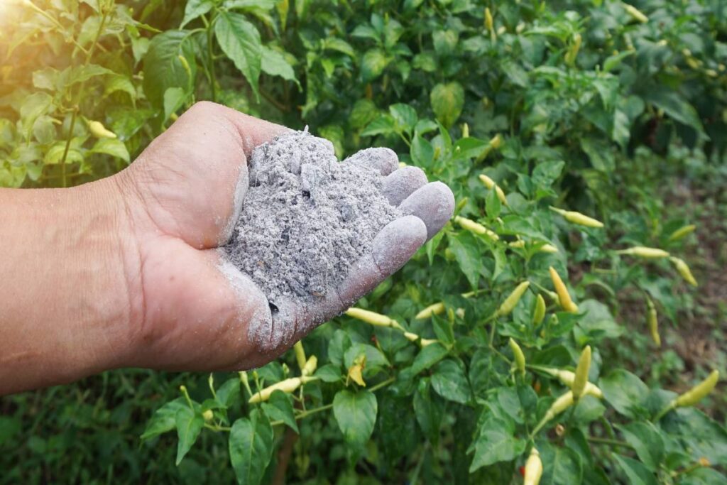 La cenere è un concime naturale