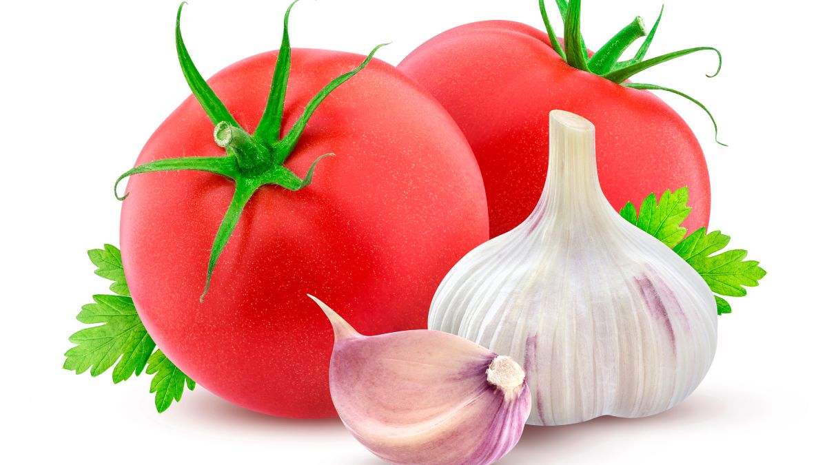 pomodori e aglio come coltivarli