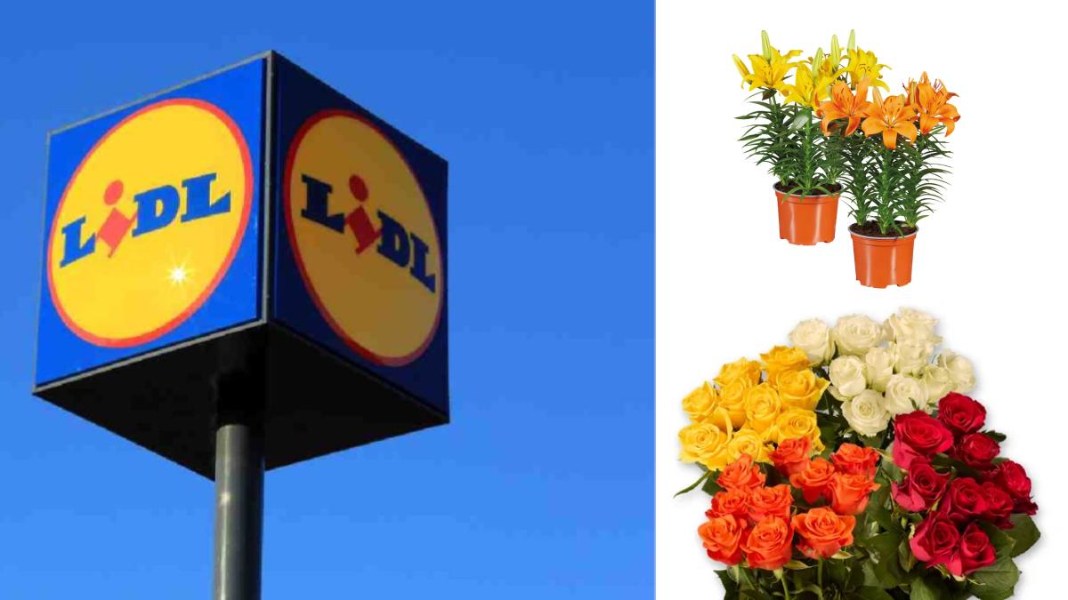 Le offerte green disponibili da Lidl