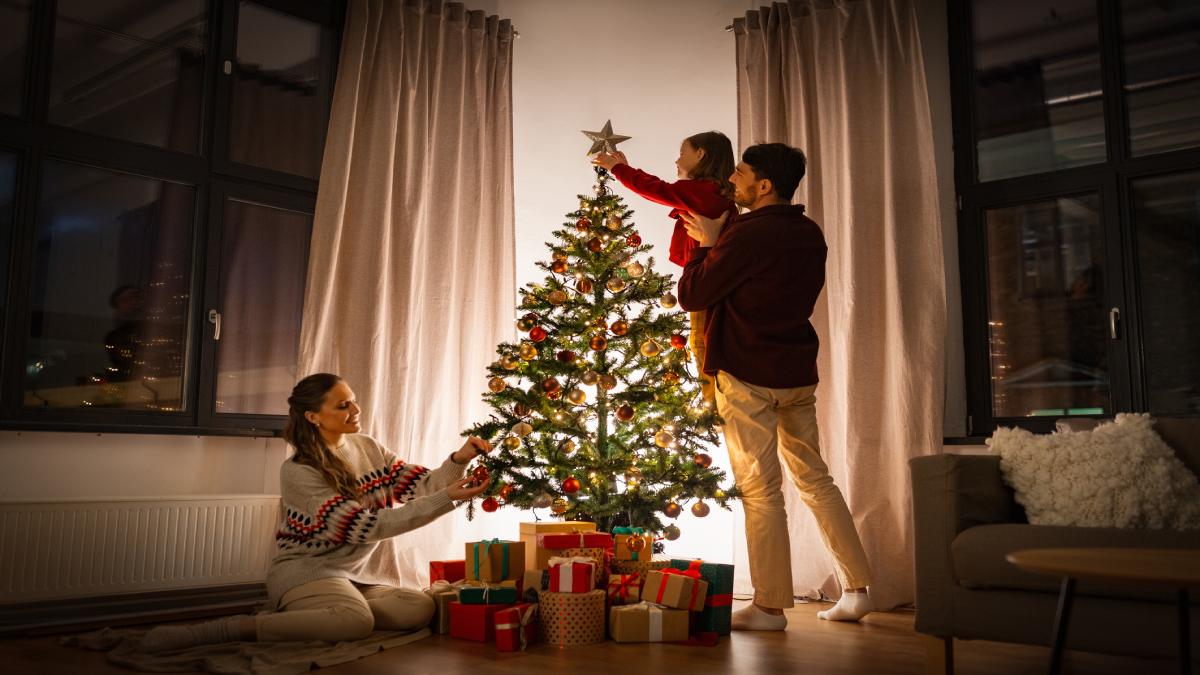 Albero di Natale: dove nasce?