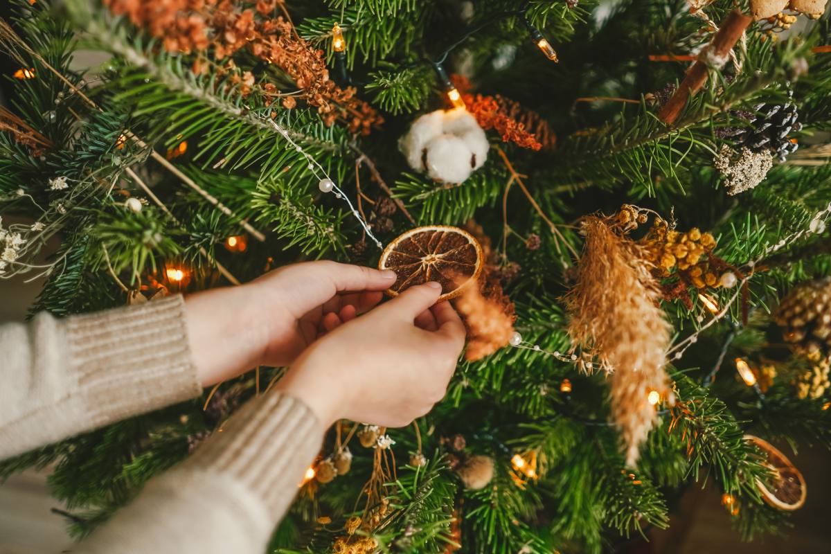 Decorazioni dell'albero di Natale fatte con elementi della natura