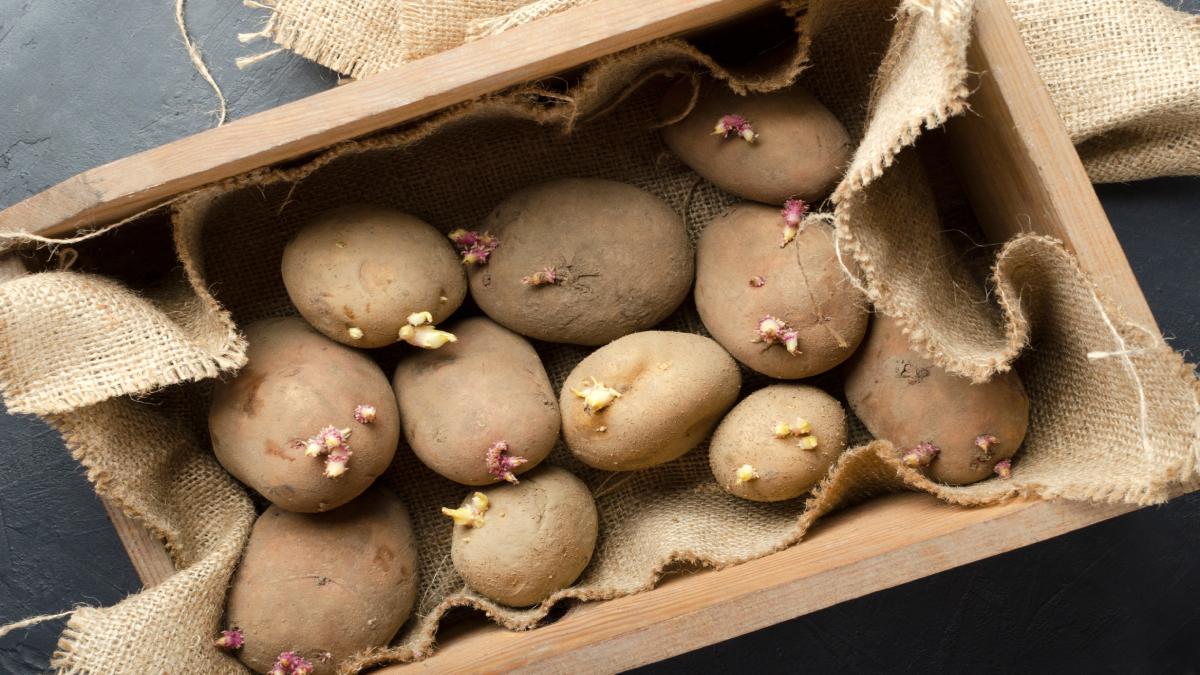 Come riutilizzare le patate vecchia per non buttarle