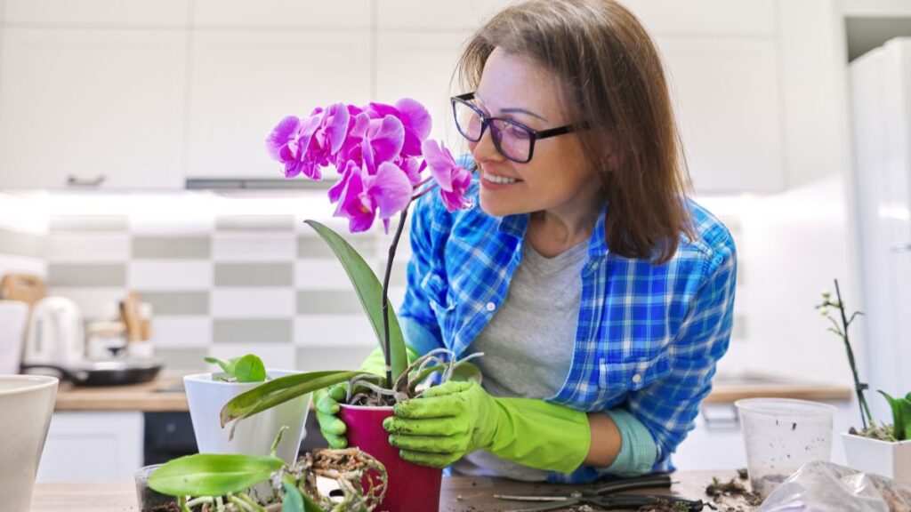 Orchidea crea l’habitat perfetto