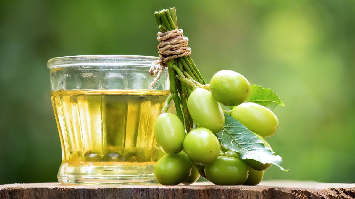 Eliminare i moscerini che infestano le piante Olio di Neem