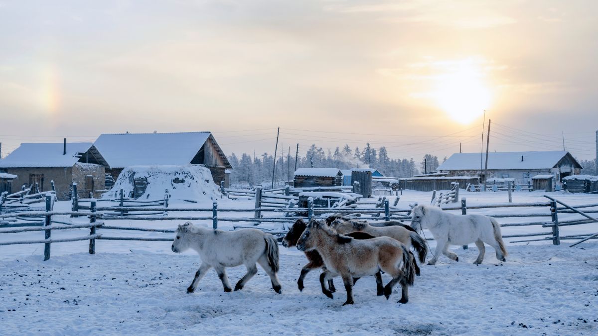 Ojmjakon villaggio più freddo del pianeta