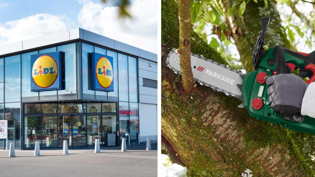 Da Lidl la motosega per potare