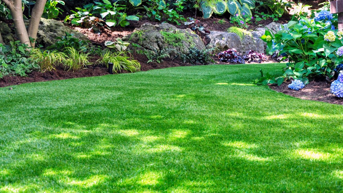 Come seminare il prato in giardino