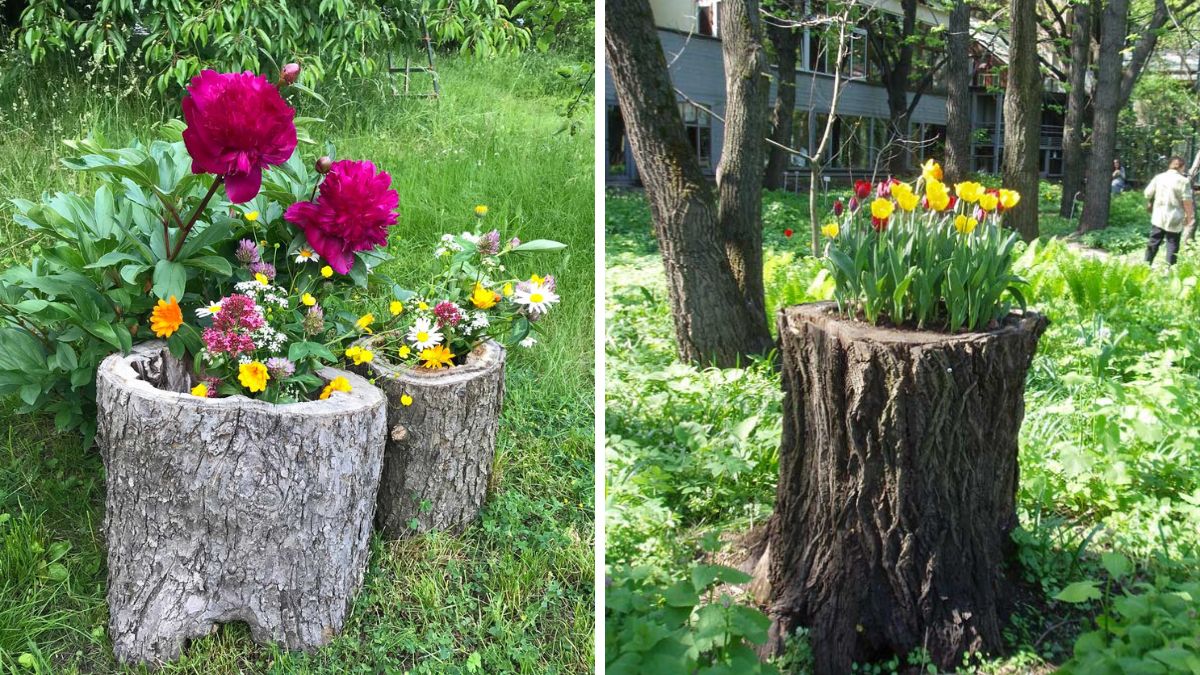 Giardino fioriere con tronchi d’albero