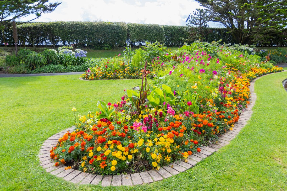 Aiuole fiorite in giardino