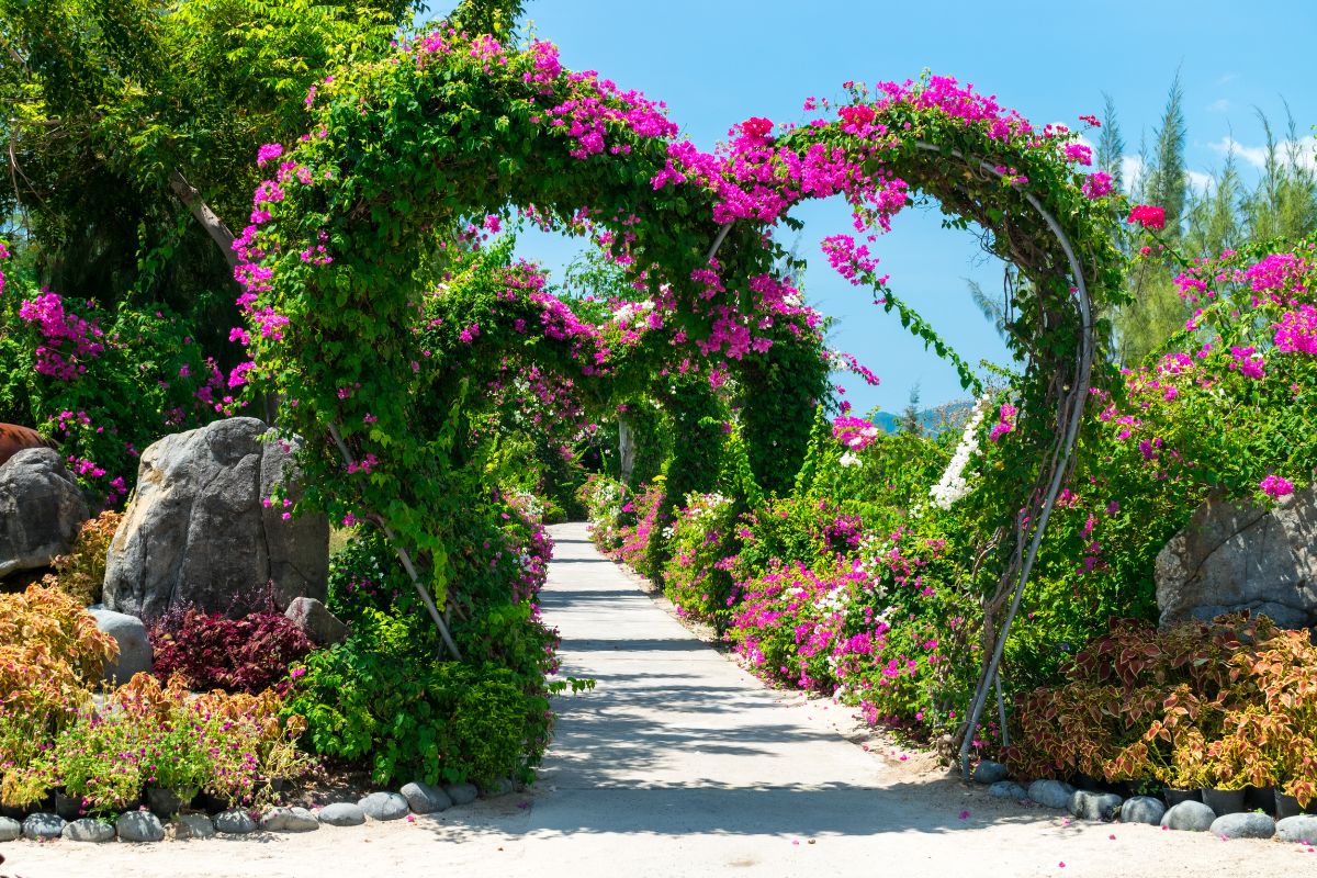 Come realizzare un arco da giardino