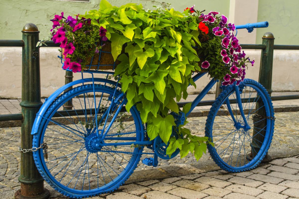 Bici decorata per la primavera