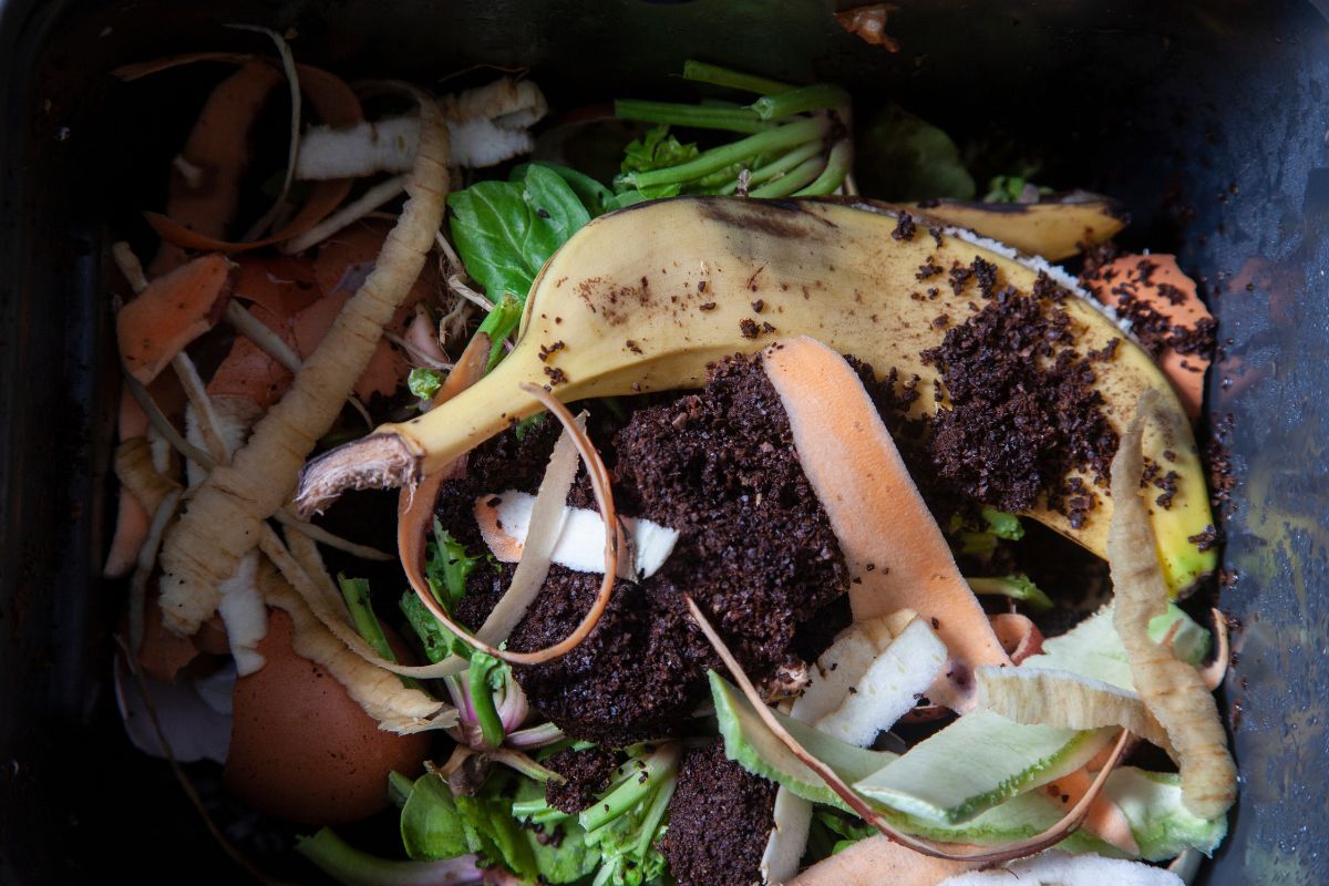 Terriccio fertile con rifiuti di cucina