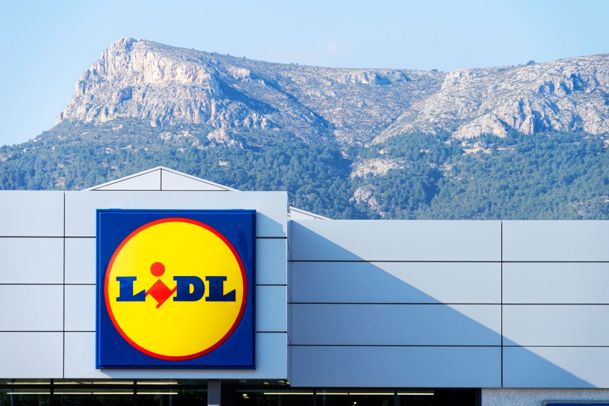 Piante rampicanti da Lidl